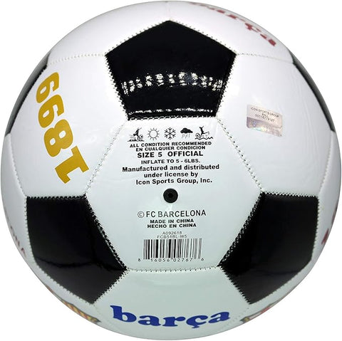 Soccer Ball in New Design Premium